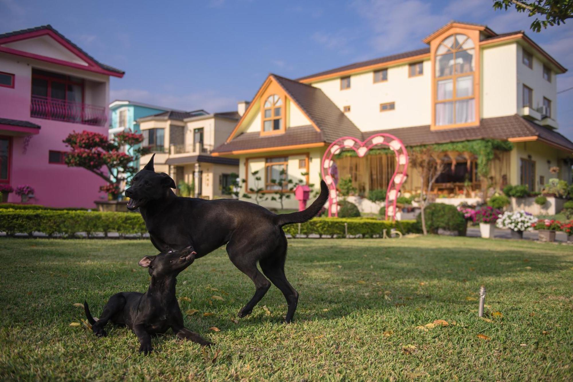 แฮปี้ แทรเวลเลอร์ อินน์ Taiping  ภายนอก รูปภาพ