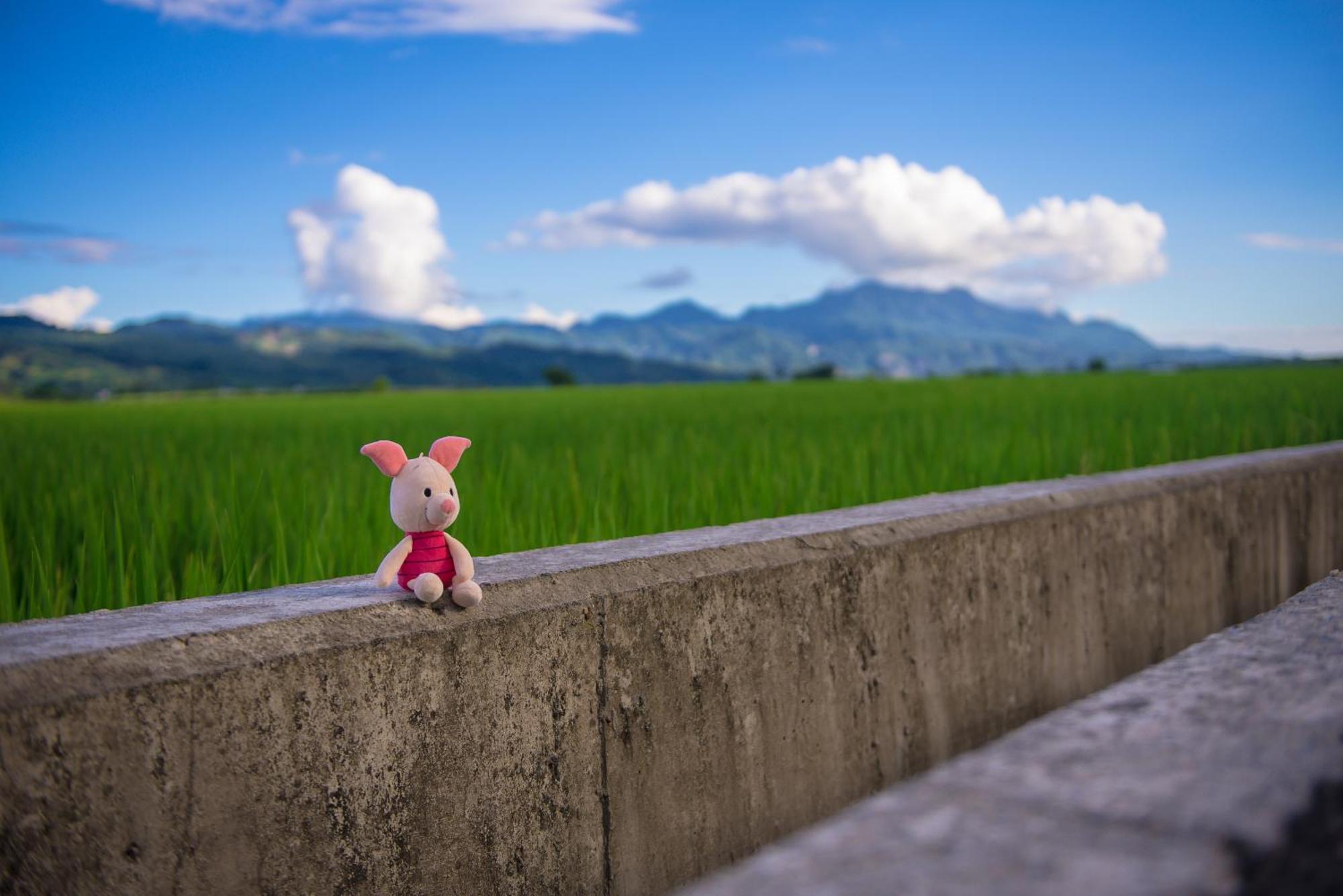 แฮปี้ แทรเวลเลอร์ อินน์ Taiping  ภายนอก รูปภาพ