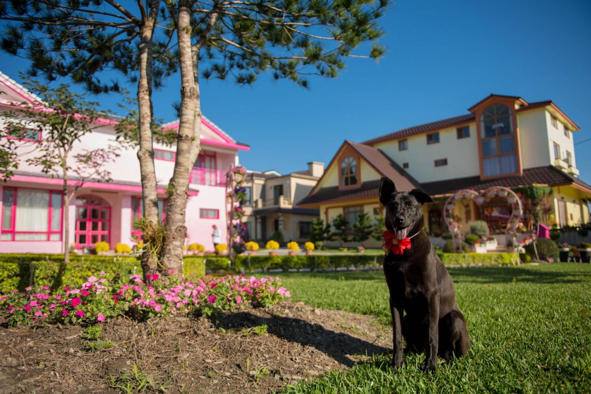 แฮปี้ แทรเวลเลอร์ อินน์ Taiping  ภายนอก รูปภาพ