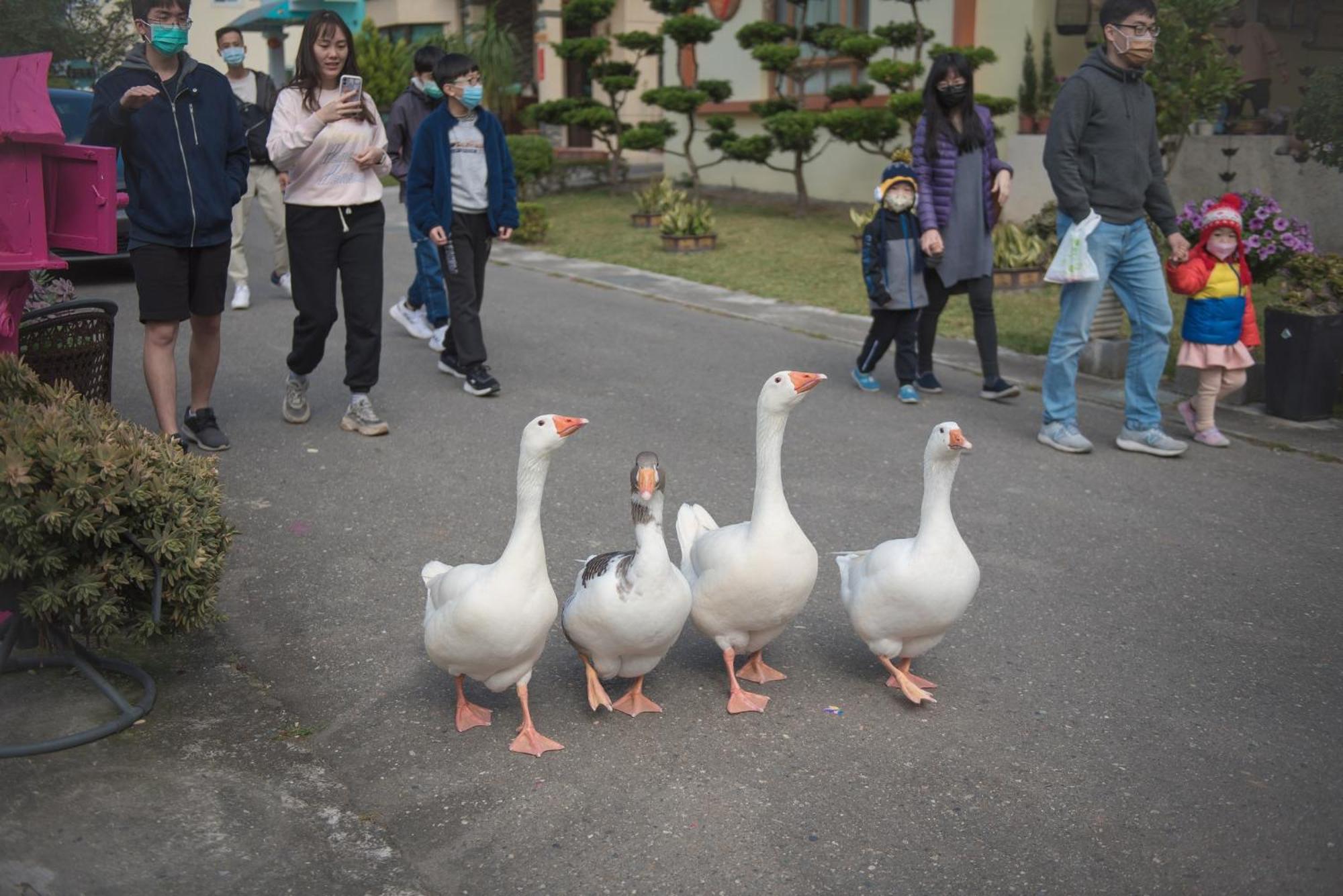 แฮปี้ แทรเวลเลอร์ อินน์ Taiping  ภายนอก รูปภาพ